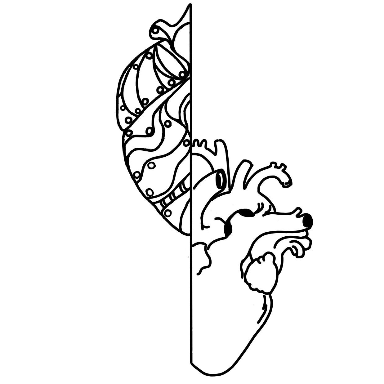 BioMotion Logo